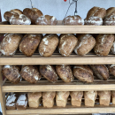 Gólyafészek Kenyerező